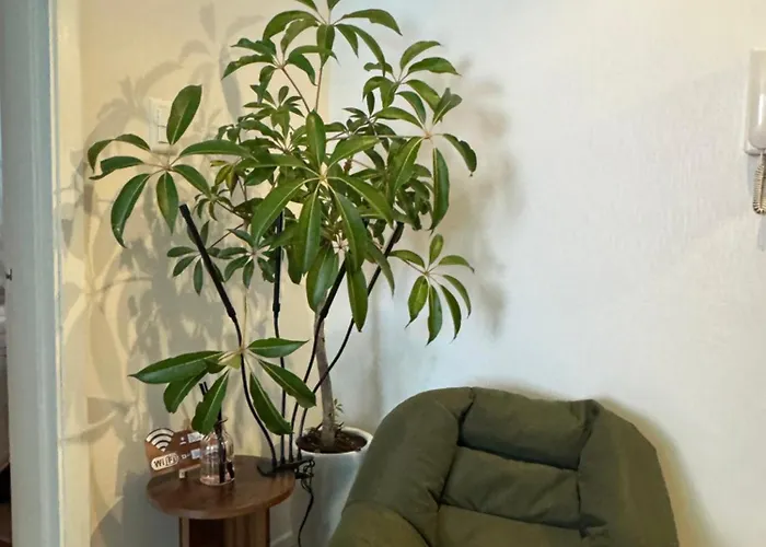 Sinsa Haus, Sinsa Station In Gangnam For 4 People, 2 Rooms, Free Parking 강남 신사역, 최대4인, 2룸, 주차가능 Appartement *