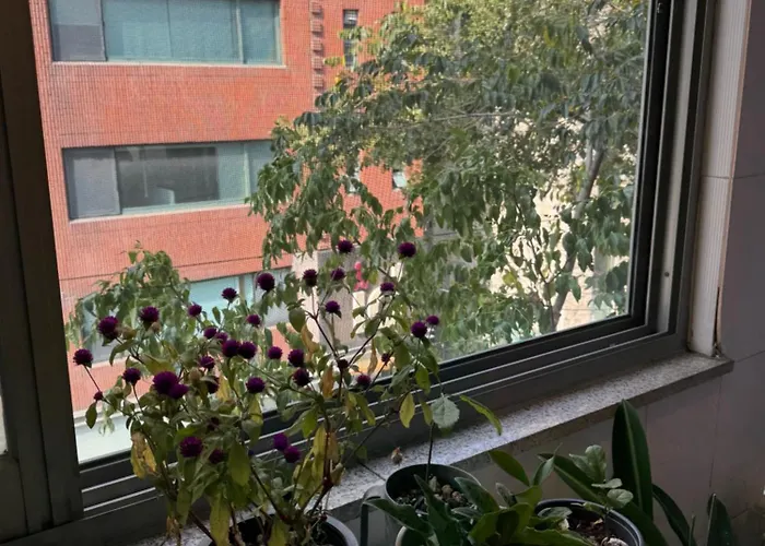 Appartement Sinsa Haus, Sinsa Station In Gangnam For 4 People, 2 Rooms, Free Parking 강남 신사역, 최대4인, 2룸, 주차가능 Séoul
