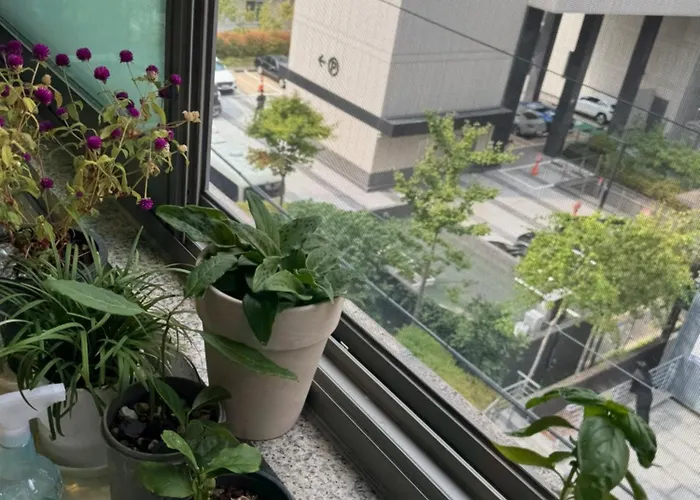 Sinsa Haus, Sinsa Station In Gangnam For 4 People, 2 Rooms, Free Parking 강남 신사역, 최대4인, 2룸, 주차가능 Appartement Séoul