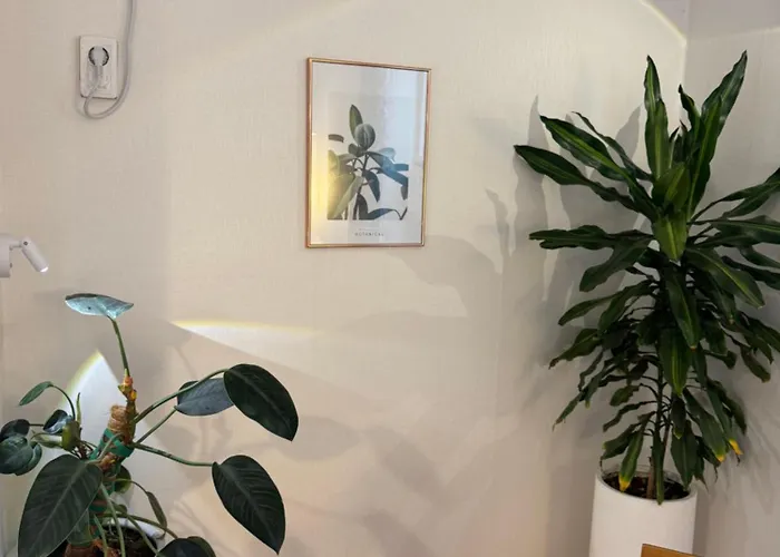 Sinsa Haus, Sinsa Station In Gangnam For 4 People, 2 Rooms, Free Parking 강남 신사역, 최대4인, 2룸, 주차가능 * Seul